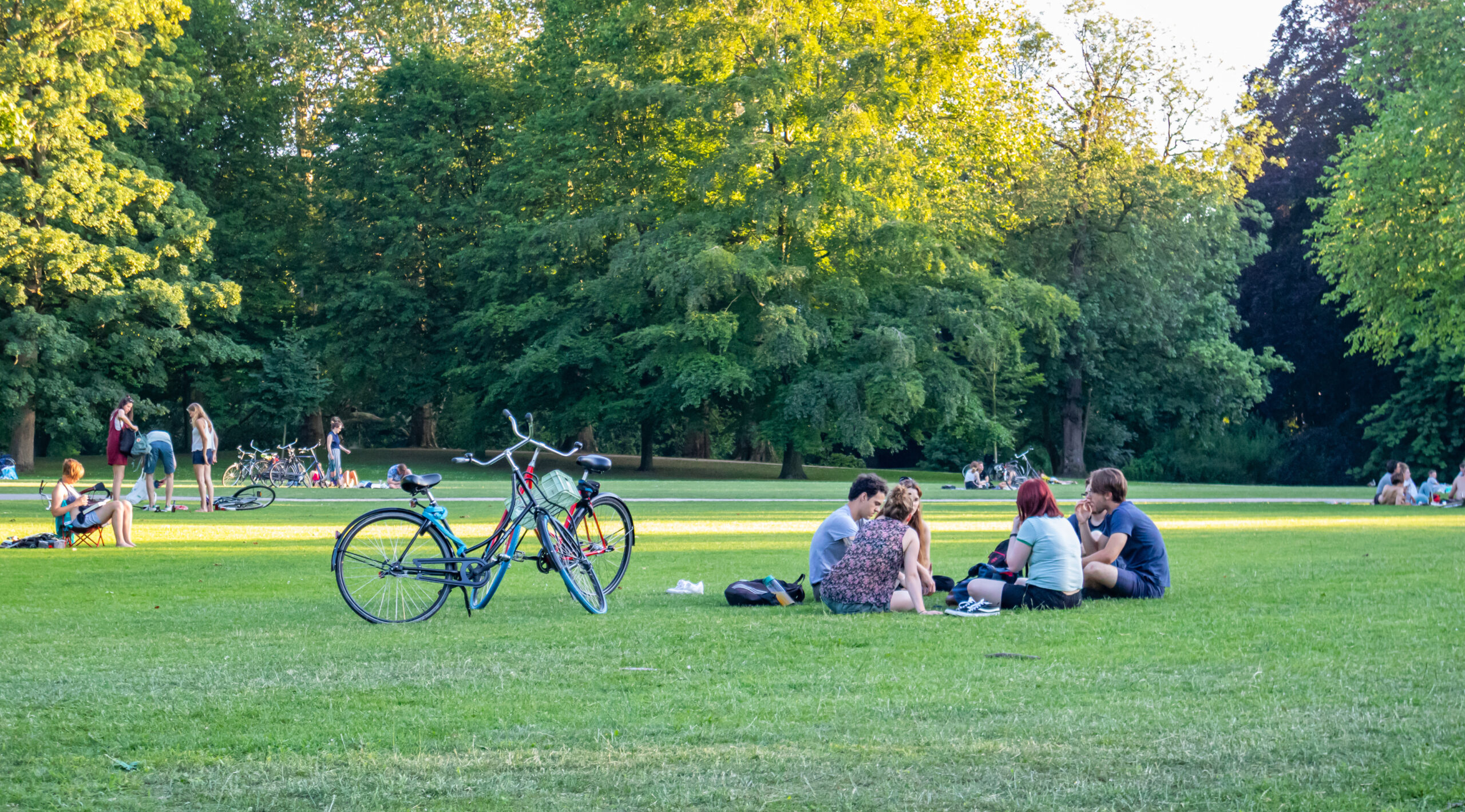 Starters in het park